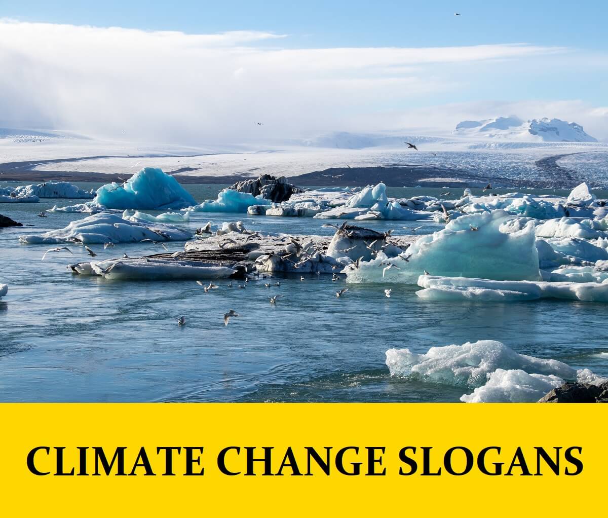 Climate Change Slogans 