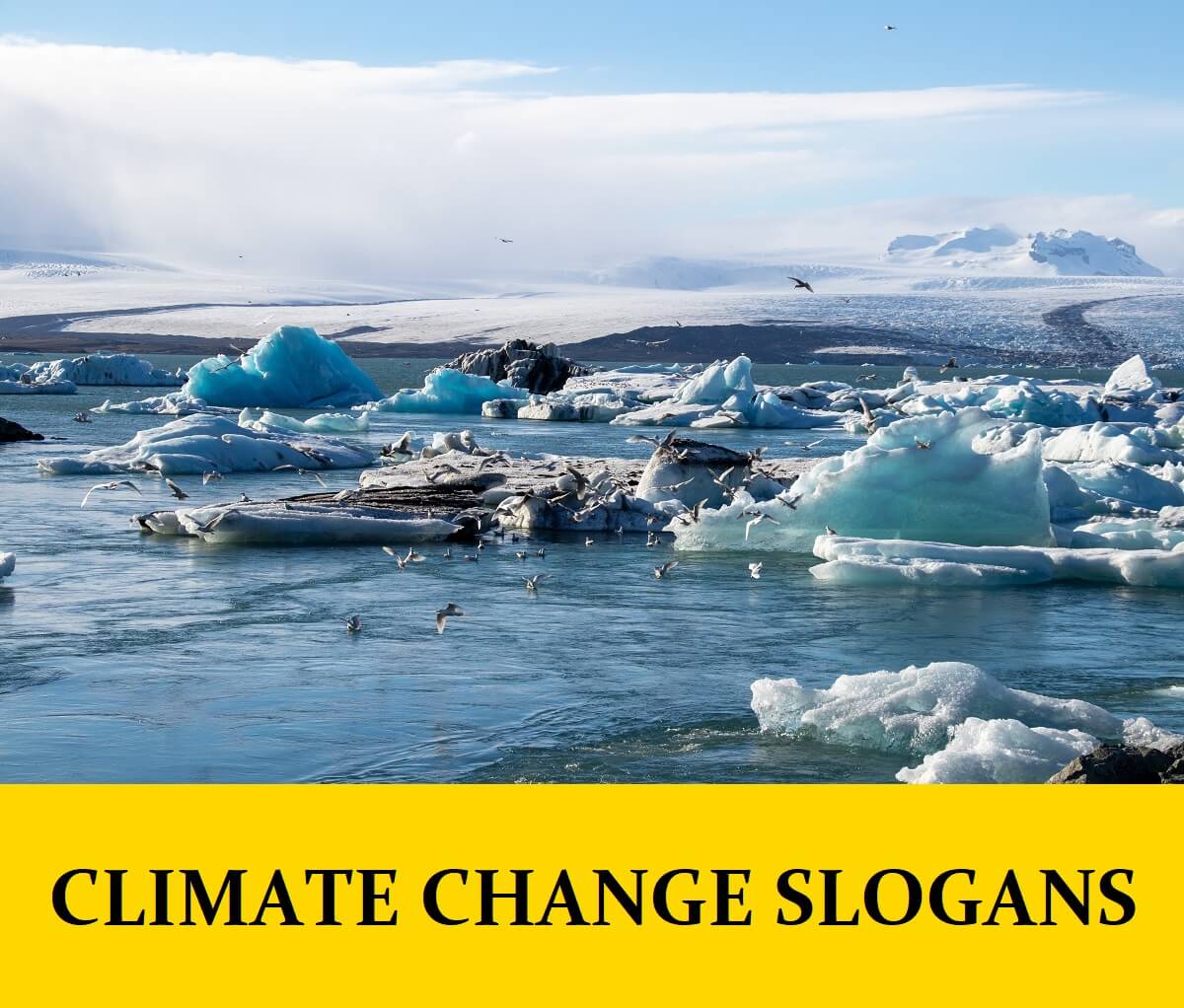 Climate Change Slogans Mottos Tag Lines And Phrases For Project Business