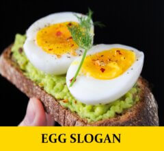 Slogan About Eggs