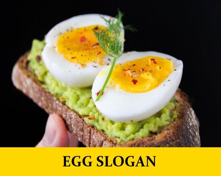 71 Egg Slogan Mottos, Tag Lines, and Phrases for Project / Business