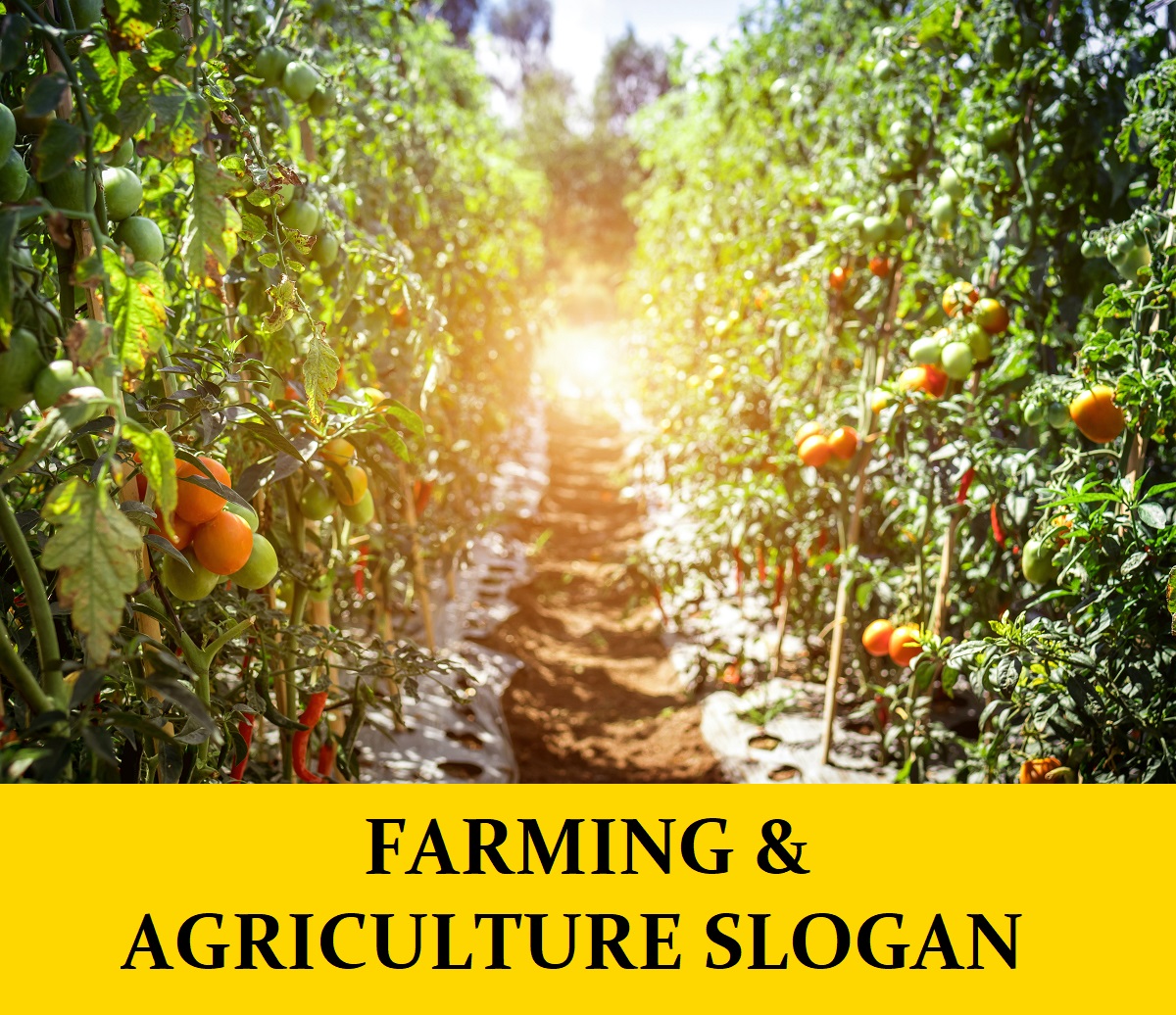Slogans for Farming & Agriculture