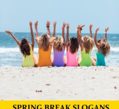 Slogans about Spring Break