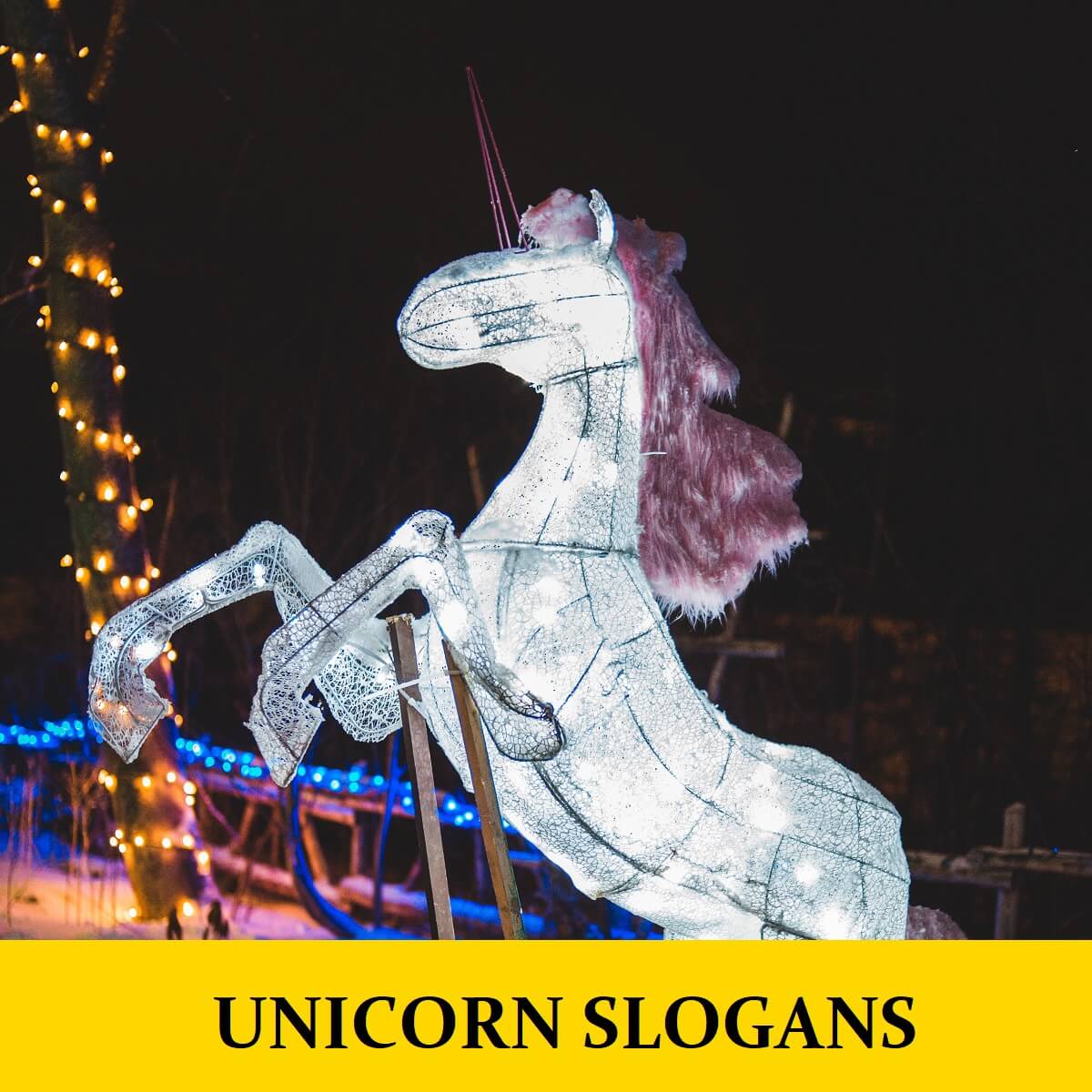 Slogans About Unicorns