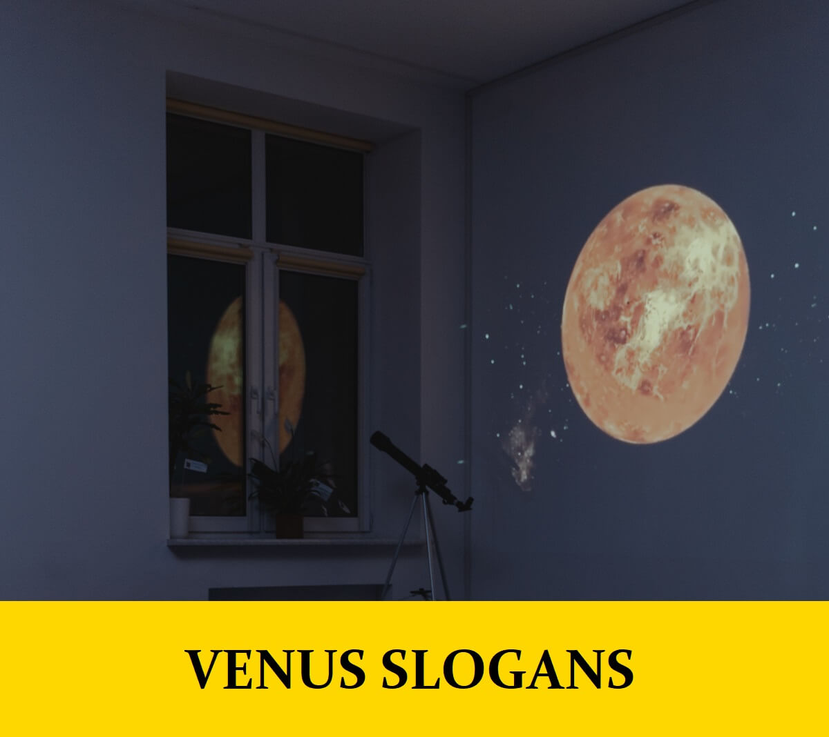 Slogans for Venus